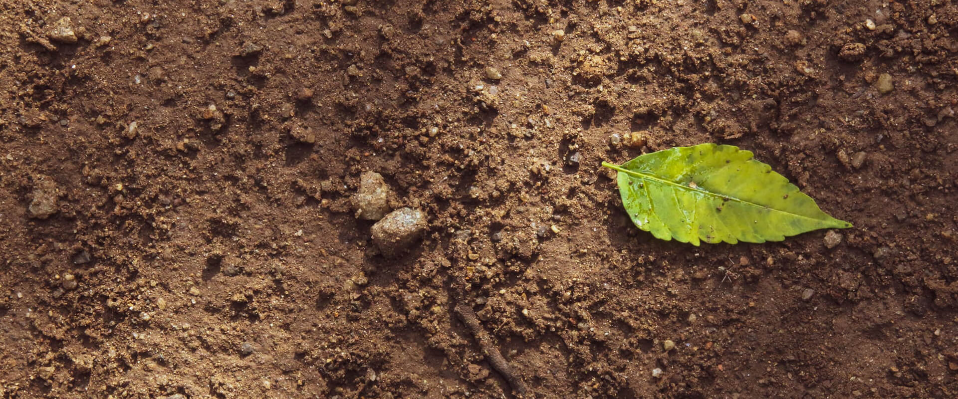 便捷式GC-MS儀器-便攜式氣質(zhì)聯(lián)用儀(GC-MS)應(yīng)用領(lǐng)域(圖2) 便捷式GC-MS儀器-便攜式氣質(zhì)聯(lián)用儀(GC-MS)應(yīng)用領(lǐng)域(圖2)