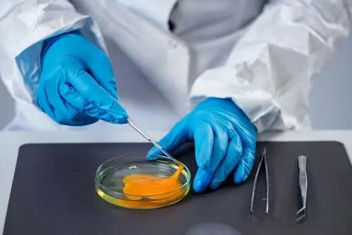 安益譜GC/MS產(chǎn)品:助力電子電氣行業(yè)精準(zhǔn)測(cè)定增塑劑含量(圖2) 安益譜GC/MS產(chǎn)品:助力電子電氣行業(yè)精準(zhǔn)測(cè)定增塑劑含量(圖2)